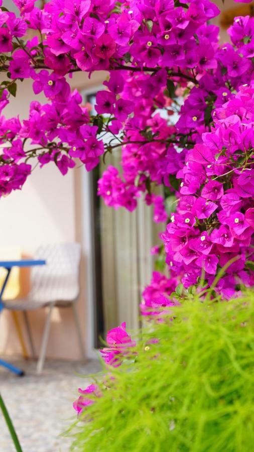 MilasYelken Bungalov住宿加早餐旅馆 外观 照片
